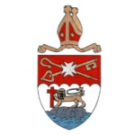 small shield